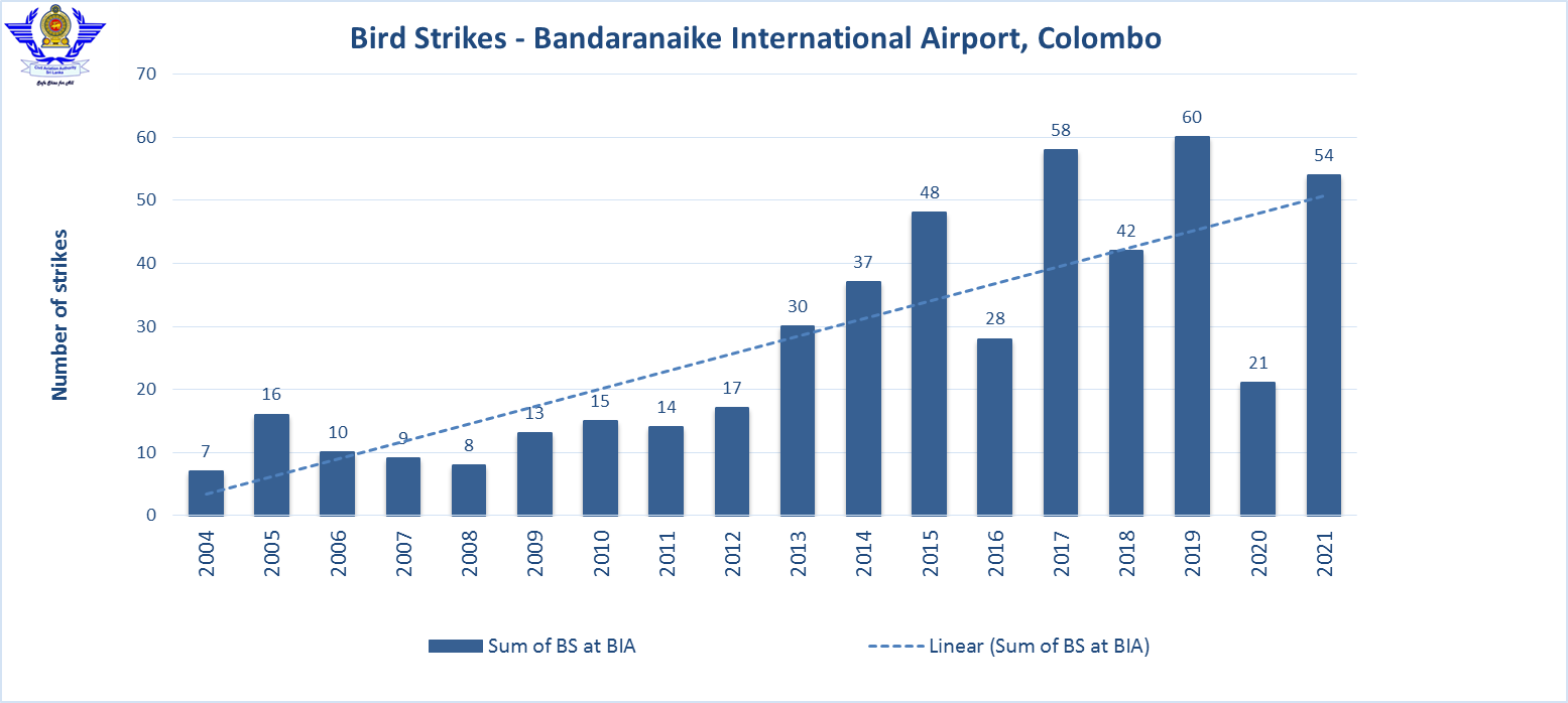 BirdStrike BIA2021