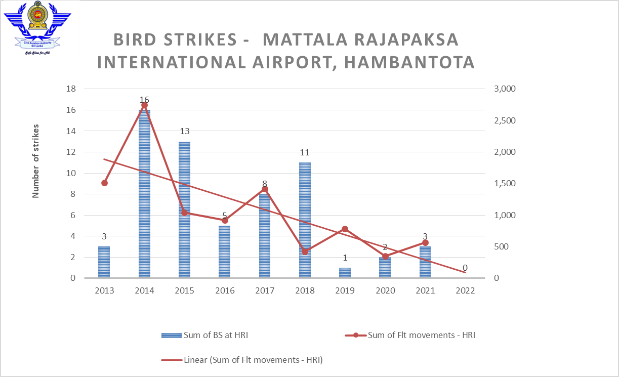 BIRD MRIA 2022